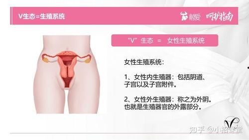 女性私密护理视频国产,女性私密护理视频深度解析