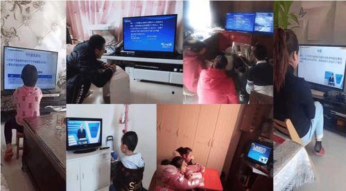 国产教育视频大全