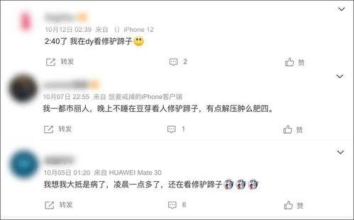 国产福利种子视频,揭秘国内影视资源共享的神秘世界