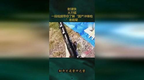 了解国产冲锋枪视频,匠心独运，锐不可挡