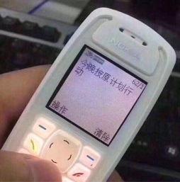 国产老式雷达视频播放器