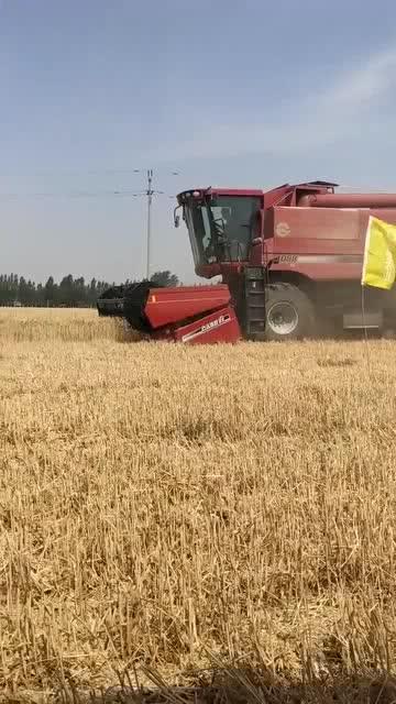 国产最新收割机视频,视频揭秘高效农业革新力量