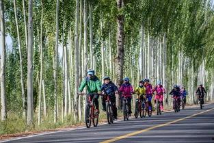 户外 露天 在线视频 国产欧美,户外露天视角下的国产与欧美在线视频盛宴