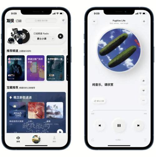 国产纯音乐在线试听视频,国产纯音乐试听之旅
