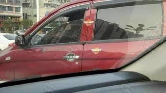 国产自行神车视频,视频揭秘国产自行神车魅力