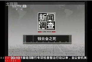 国产大神在线网站视频,揭秘热门视频背后的精彩故事