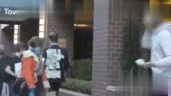 在线猎奇国产欧美视频,揭秘国产欧美视频的惊悚诱惑