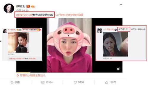 免费国产自怕视频网