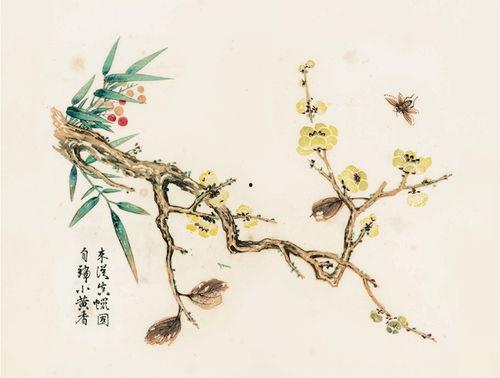 国产芥子能长得大吗视频,视频见证硕果累累