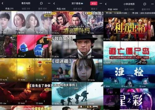 国产盗贼电影解说大全视频